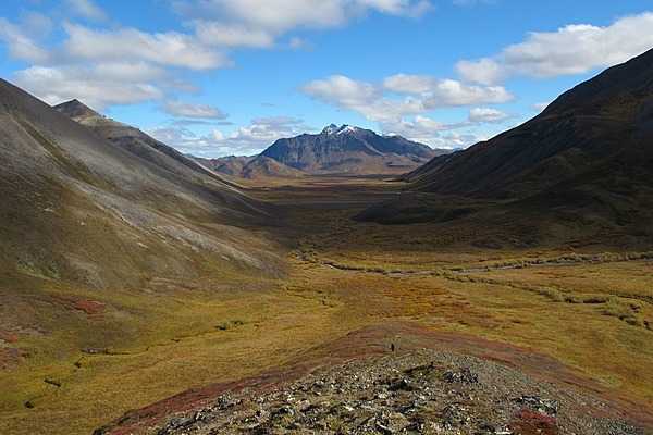 The world famous view in Noatak National Preserve, Alaska that artist MK MacNaughton turned into a painting (see next image). Copter Peak is the large mountain in the center. Nunaviksak Creek runs along the base of the snow-capped mountain. Photo courtesy of the US National Park Service.