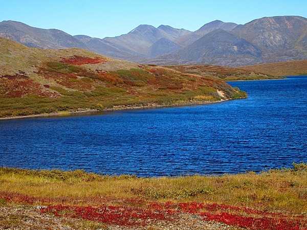 Nature's bluest blue and reddest red in Noatak National Preserve, Alaska. Even an amateur photographer looks good when the fall colors are at their peak and a clear September sky makes the blue water pop out of the image. Photo courtesy of the US National Park Service.