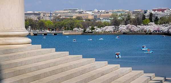 The Tidal Basin in Washington D.C. as seen from the steps of the Thomas Jefferson Memorial.  The Tidal Basin is fringed with a variety of cherry trees that give rise to the National Cherry Blossom Festival that takes place annually in late March-early April. Paddle boats offer one of the best ways to experience the cherry tree blossoms. Photo courtesy of the National Park Service.
