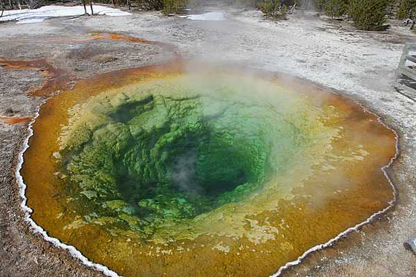 Morning Glory Pool is a hot spring in the Upper Geyser Basin of Yellowstone National Park.  The distinct color of the pool is due to thermophiles (bacteria that thrive in hot water). Image courtesy of the US National Park Service/Jim Peaco.