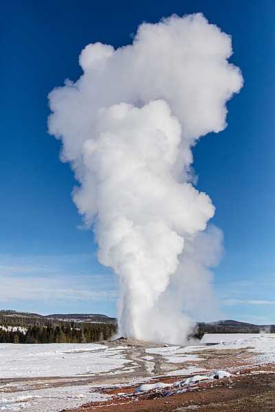 Water and steam shoot straight up as Old Faithful erupts on a clear winter day in Yellowstone National Park. The geyser erupts regularly on average about every 90 minutes (intervals can range from 60 to 110 minutes); eruption times can range from 1.5 to 5 minutes. Image courtesy of the US National Park Service/ Jacob W. Frank.