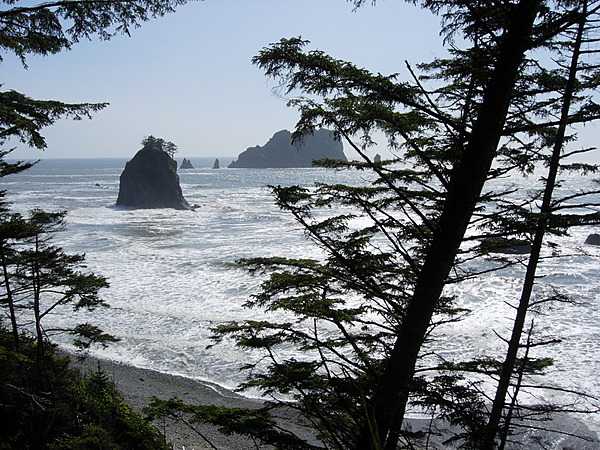 Beach and offshore sea stacks at Olympic National Park, Washington state. Photo courtesy of the National Park Service.