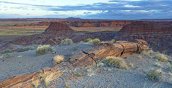 A petrified log erodes from the Painted Desert at Petrified Forest National Park in Arizona. Image courtesy of the US National Park Service/ Andrew V. Kearns.