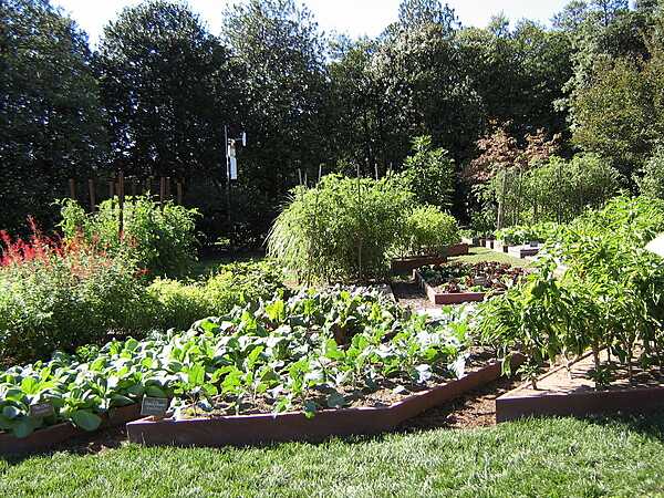Vegetable garden at the White House in Washington, D.C.