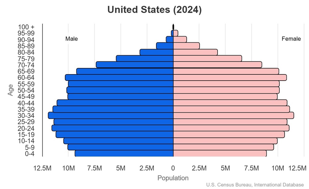 2024 population pyramid