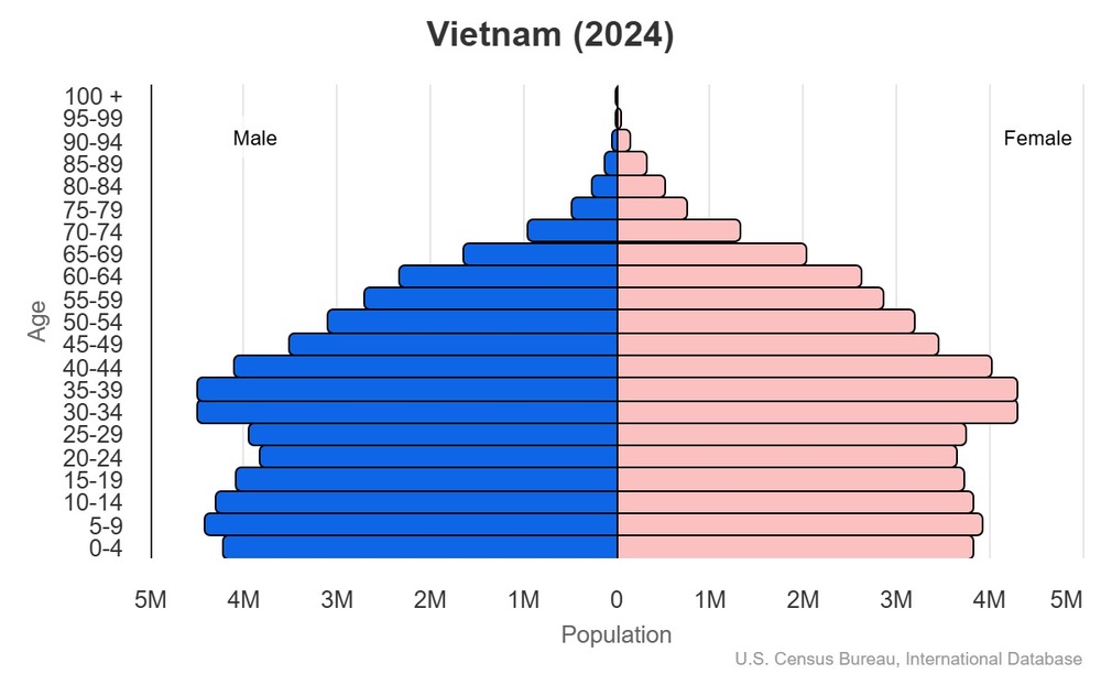 2024 population pyramid