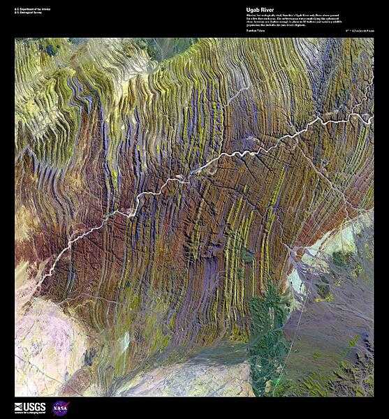 Elusive, but ecologically vital, the 500 km (310 mi) Ugab River only flows above ground for a few days each year. Shown in this false-color satellite image, the subterranean waters underlying this ephemeral river are shallow enough in places to fill hollows and sustain wildlife populations that include the rare desert elephant and the largest free population of black rhino. Pink-granite inselbergs, islands of rock left behind after volcanic activity, form bizarre sculptures in the sandy riverbed. Some, known as &quot;petrified ghosts,&quot; are eerie hollow structures, carved by erosion. Image courtesy of USGS.