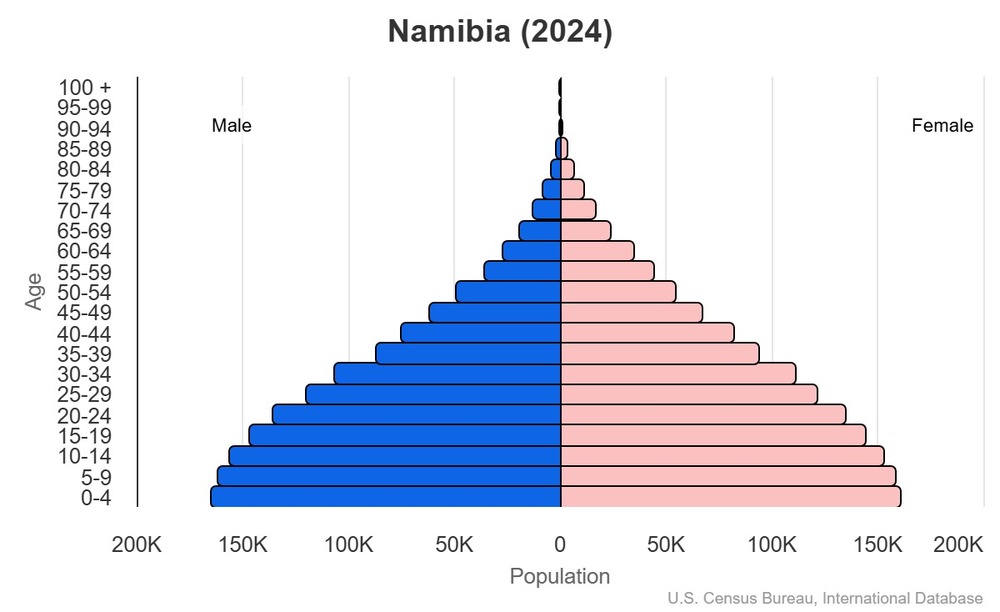 2024 population pyramid