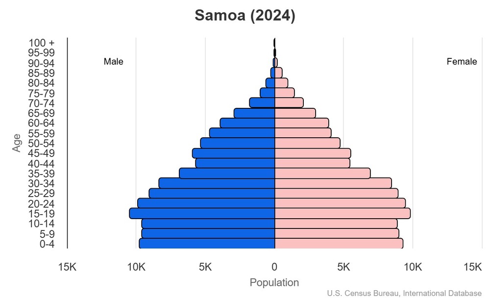 2024 population pyramid