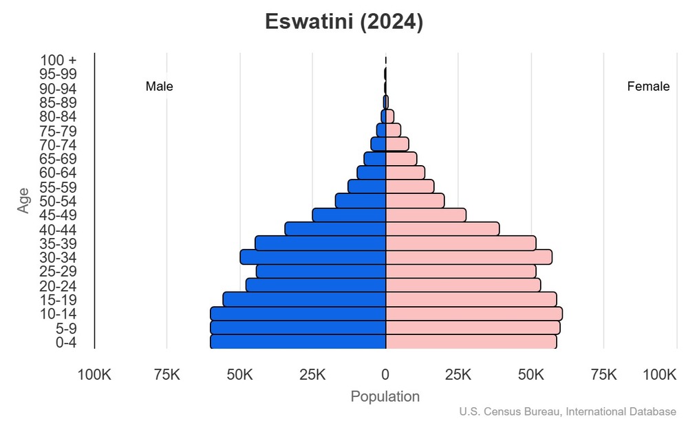 2024 population pyramid