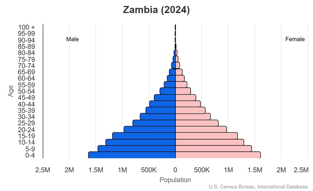 2024 population pyramid