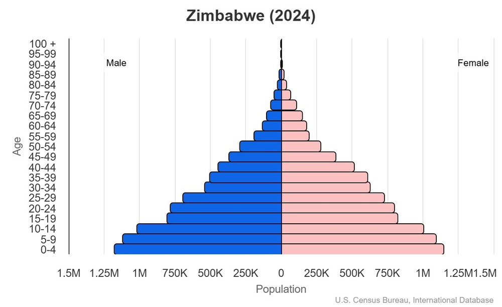 2024 population pyramid